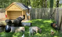 Dierenweide Animal Farm Mini Farm 