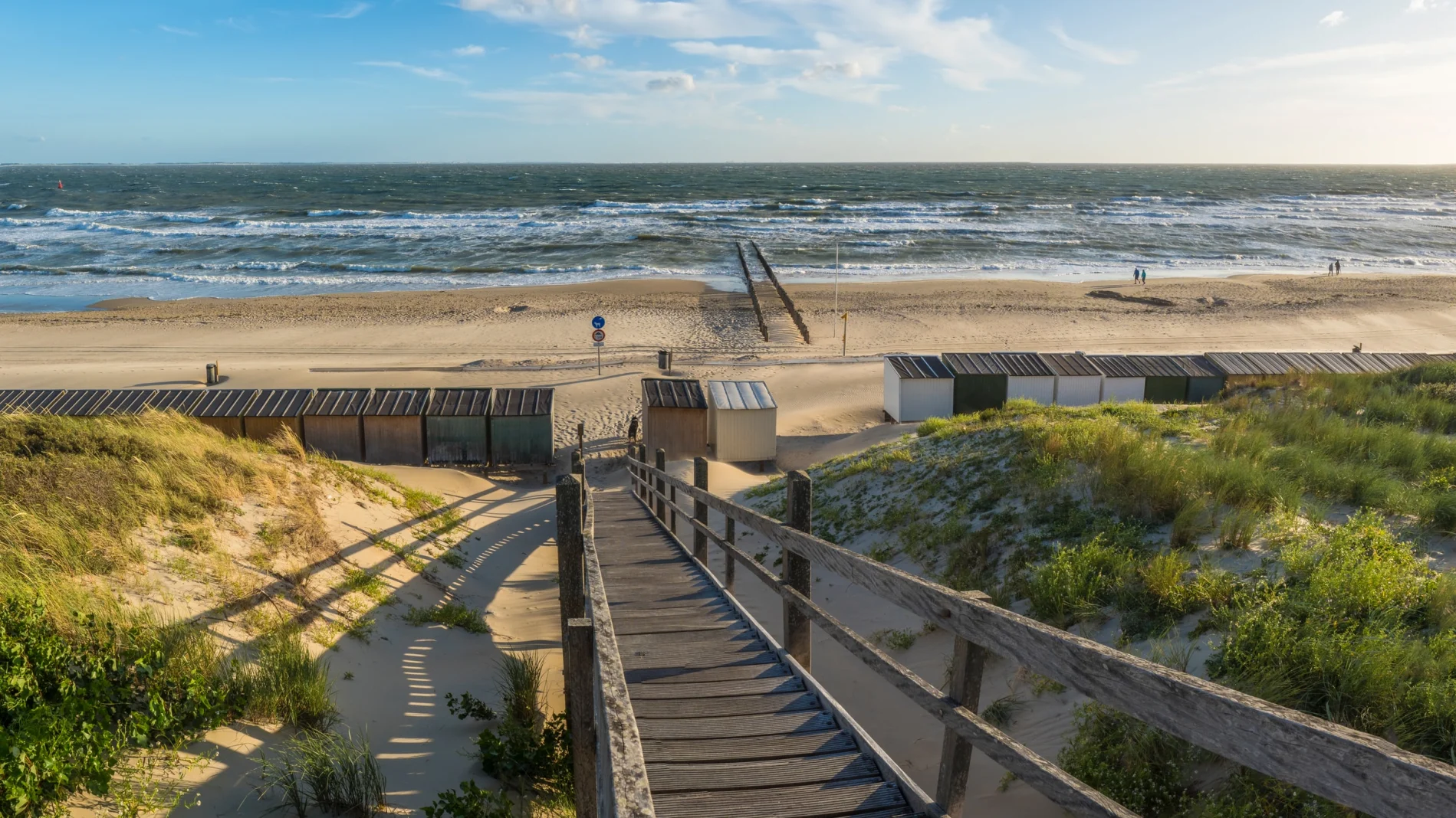 Header zeeland beach dunes