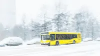 Ski Bus Schnee Winter