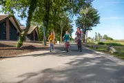 De IJssel Eilanden Family Bike Cycling Villa Road