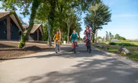 De IJssel Eilanden Family Bike Cycling Villa Road