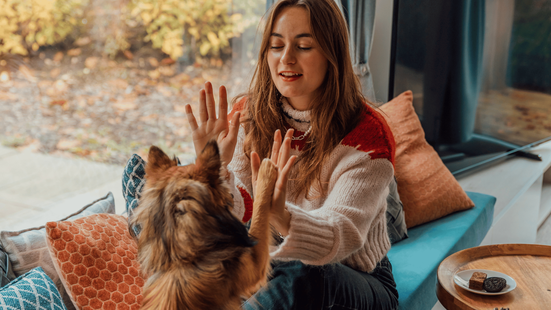 Dog friendly cottages EuroParcs