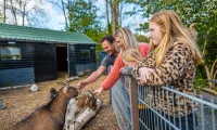 Spaarnwoude Petting Zoo