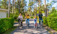 surroundings-bike-rental-family-europarcs-de-utrechtse-heuvelrug