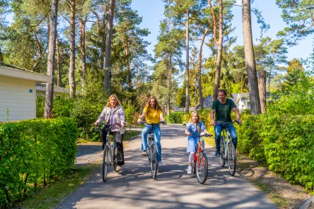 surroundings-bike-rental-family-europarcs-de-utrechtse-heuvelrug