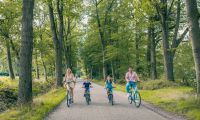 surroundings-bike-rental-family-europarcs-de-utrechtse-heuvelrug