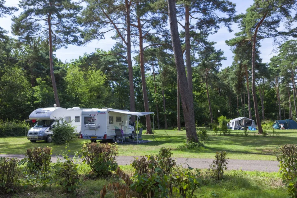Europarcs-De-Wije-Werelt-camping 