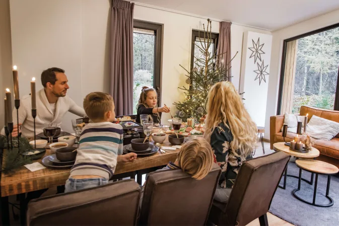 holiday-home-christmas-tree-family-dinner-europarcs