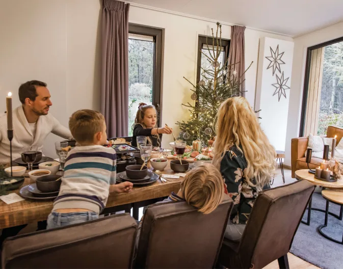 holiday-home-christmas-tree-family-dinner-europarcs
