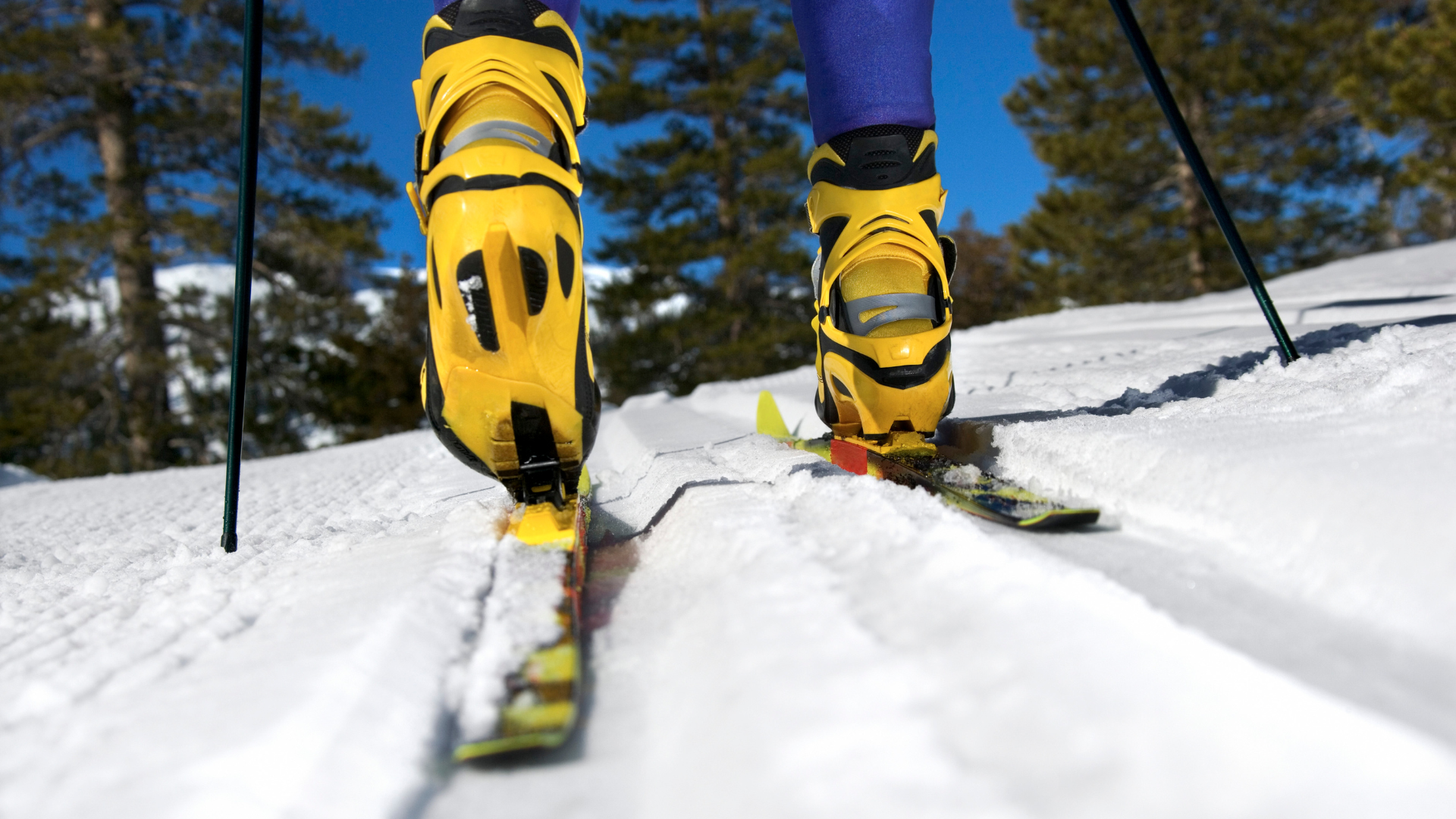 Crosscountry skiing holiday EuroParcs