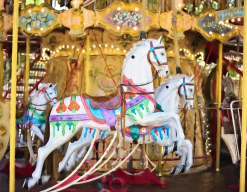 carousel_theme_park