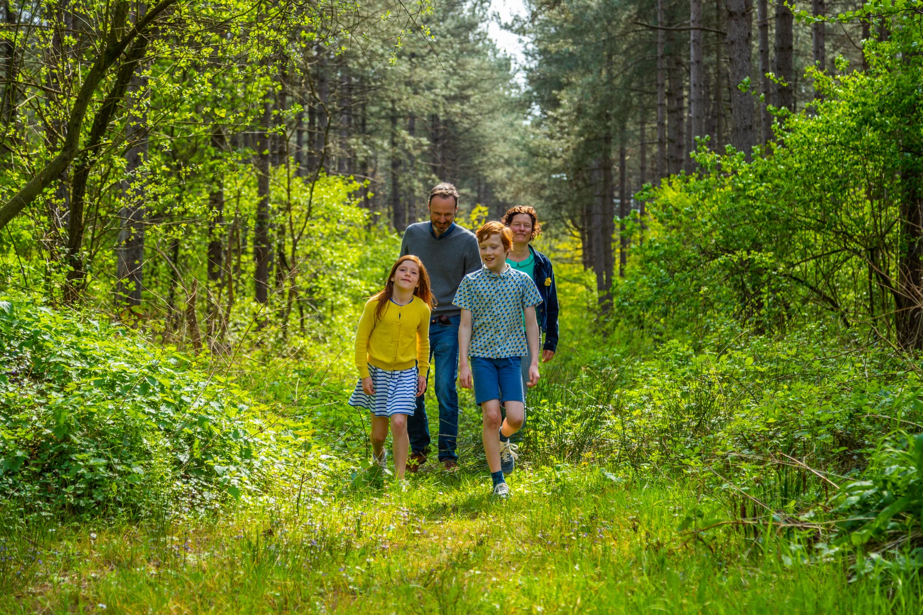 Hoge Kempen Family Walking Forest