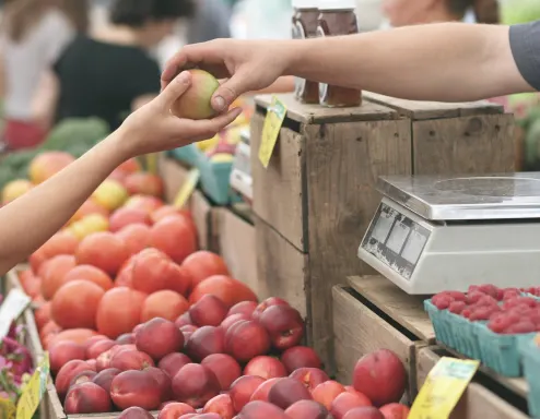 farmers market