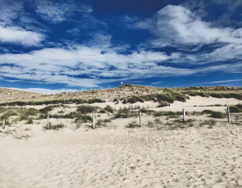 noord-holland-petten-aan-zee-beach