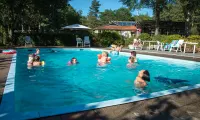 De Wiltzangh Swimming Pool Outdoor 1