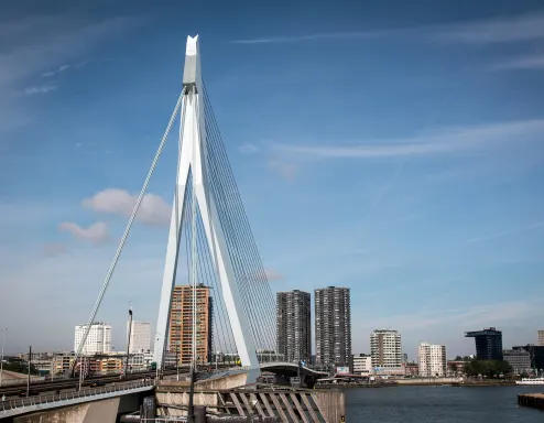 Erasmusbrug Rotterdam