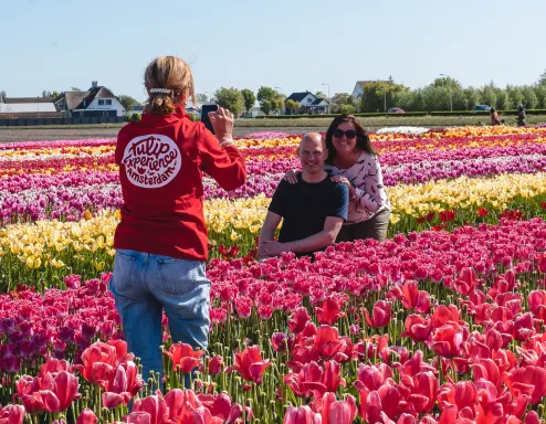 Tulip Experience Noordwijkerhout - Bollenstreek 