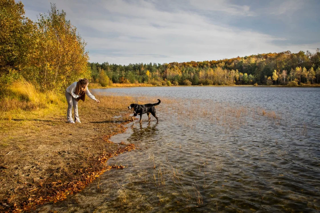 vakantie-met-hond-water-vijver-natuurpark-omgeving-europarcs