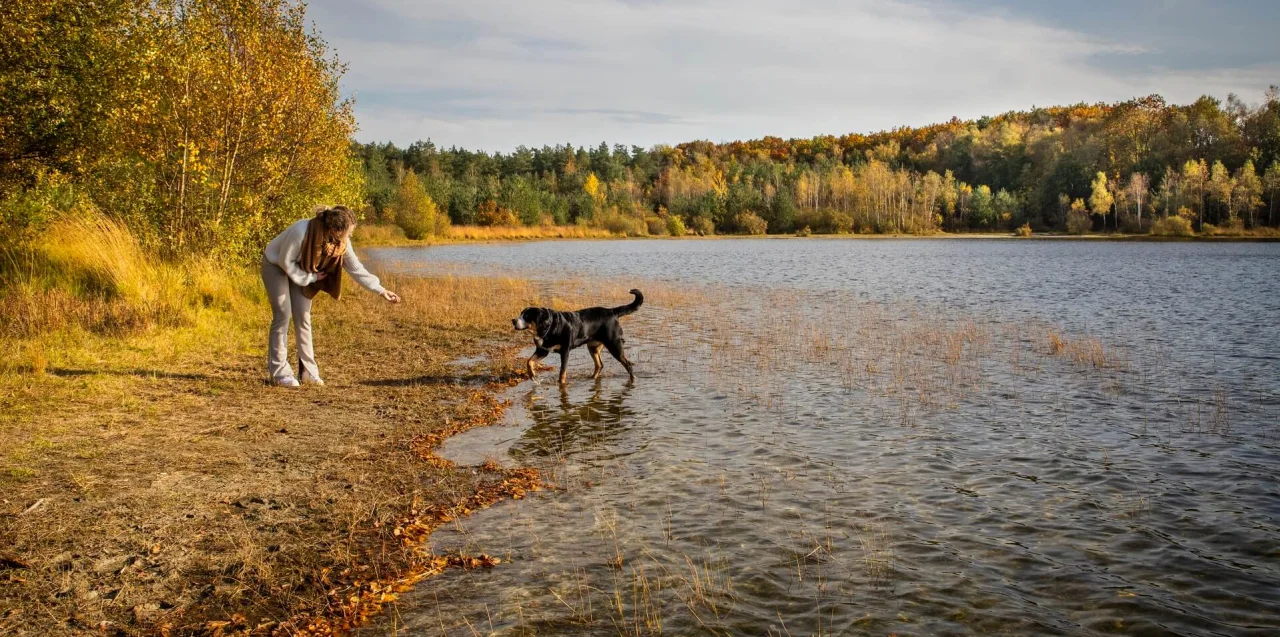 vakantie-met-hond-water-vijver-natuurpark-omgeving-europarcs