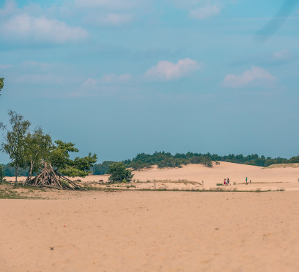 sand-dune-surroundings-europarcs-kaatsheuvel-1