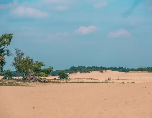 sand-dune-surroundings-europarcs-kaatsheuvel-1