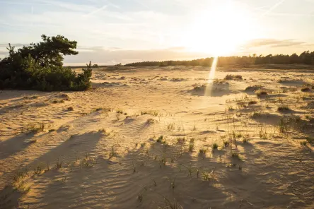 zand-uitzicht-nationaal-park-de-hoge-veluwe