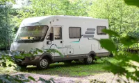 Wörthersee forest camping pitch