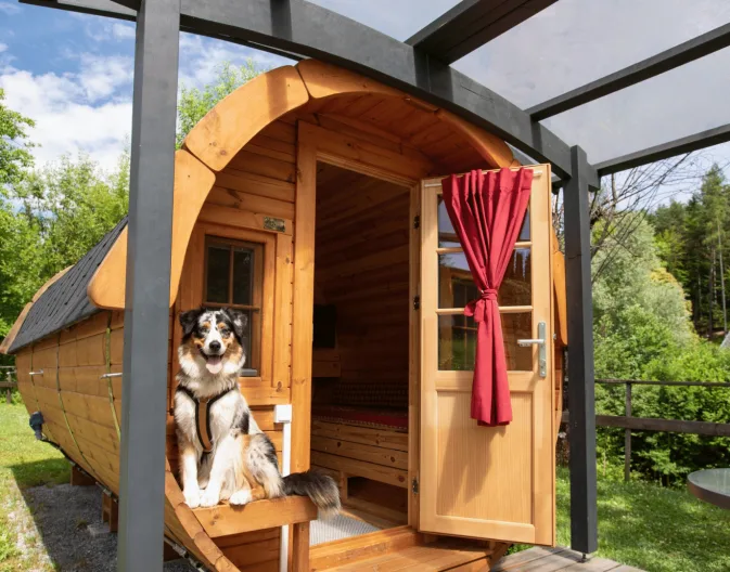 Holiday home with dog at holiday park EuroParcs Wörthersee camping Barrel