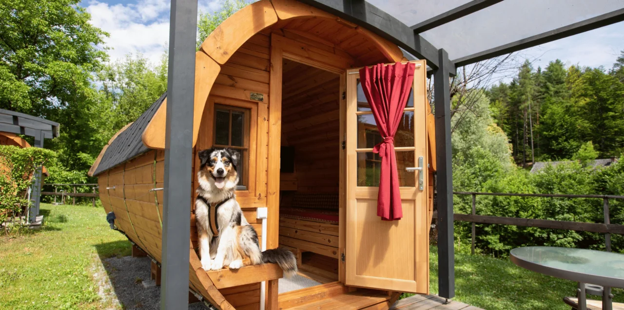 dog europarcs woerthersee camping barrel