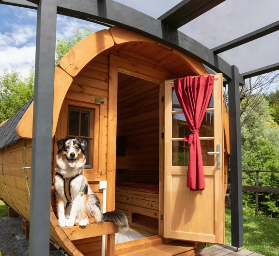 dog europarcs woerthersee camping barrel