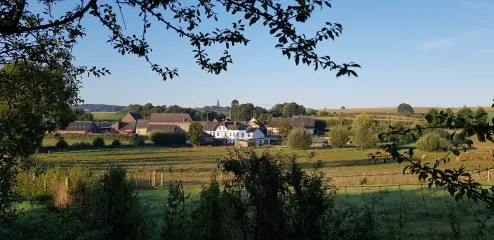 Limburg Landscape