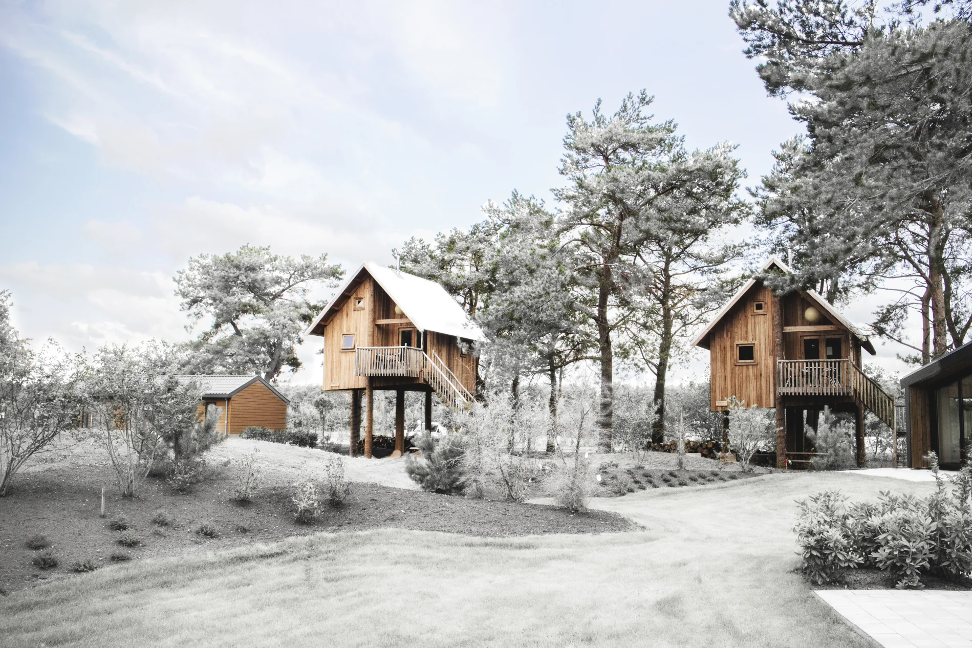 holiday-home-boomhut-winter-europarcs-de-wije-werelt