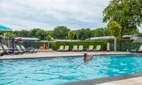 Swimmingpool - EuroParcs Noordwijkse Duinen