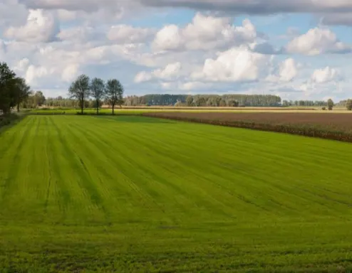 fort spijkerboor middenbeemster