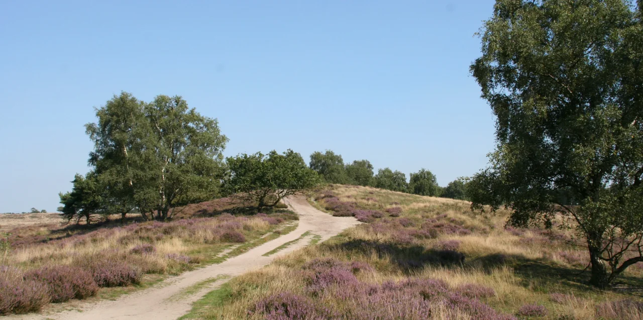 Maasduinen National Park