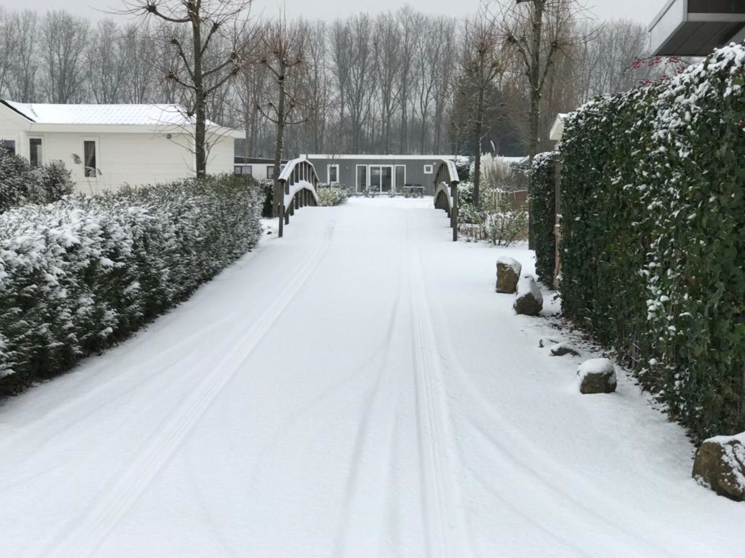 winter-snow-ambiance-europarcs-de-biesbosch-2