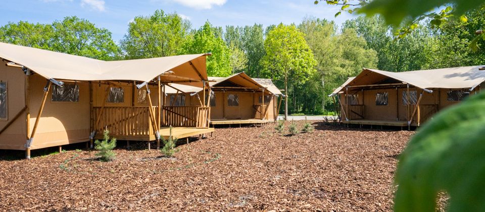 intro-glamping-tents-europarcs-het-amsterdamse-bos