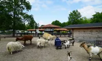 Dierenweide - kinderboerderij - vakantiepark limburg