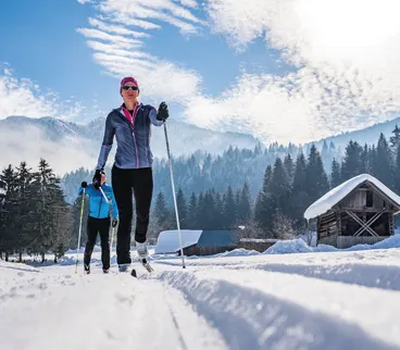 Cross Country Ski