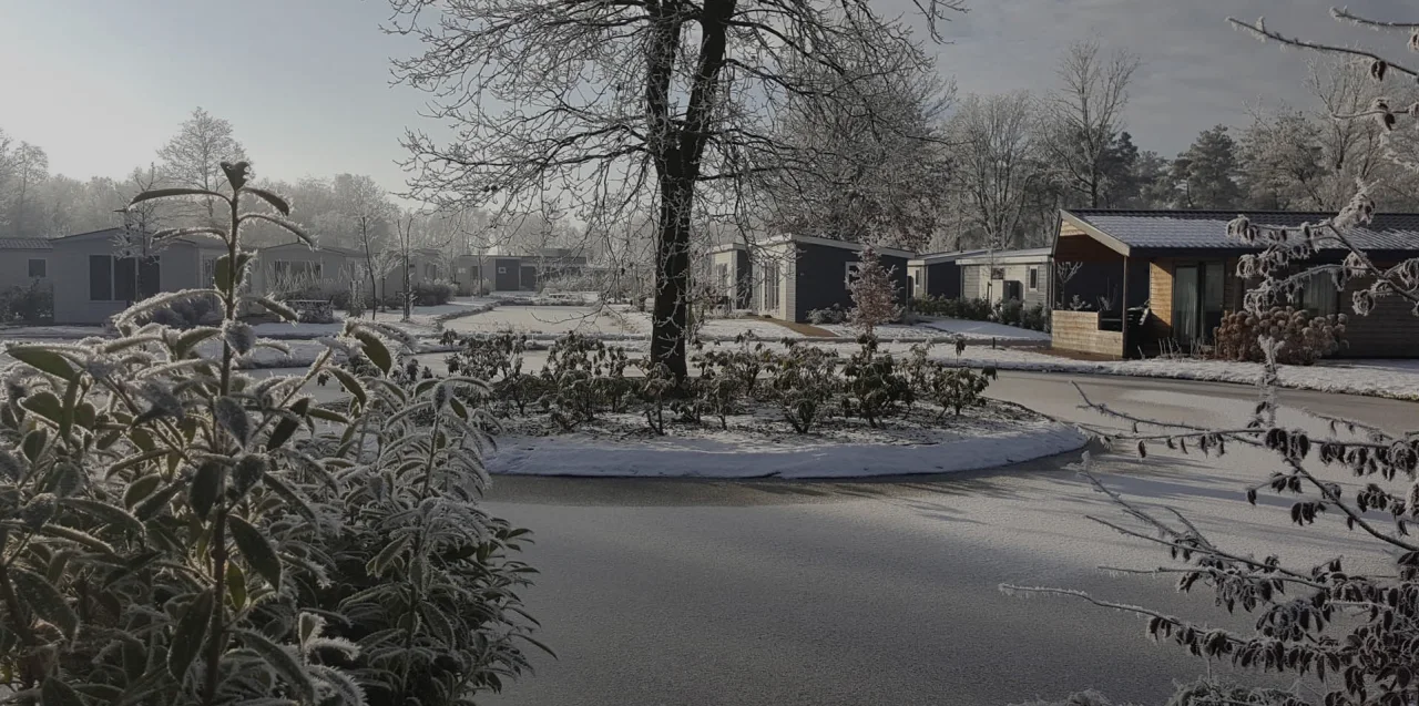 EuroParcs Reestervallei snow ice trees holiday homes -dark-