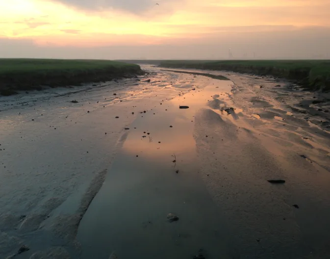 Het Verdronken Land van Saeftinghe Zeeland Nederland