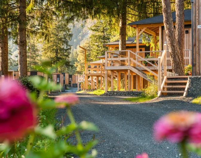 Pressegger See Fall Autumn Chalets Road Flowers Forest Mountains