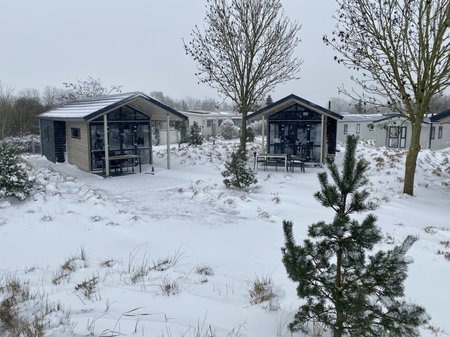 snow-tiny-houses-europarcs-poort-van-zeeland