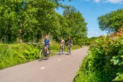 De Woudhoeve Family Cycling Bicycles Road Sunny