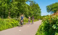De Woudhoeve Family Cycling Bicycles Road Sunny