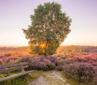 Go Nature Week 2022 Veluwe