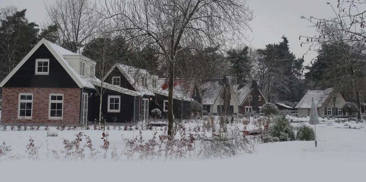 EuroParcs De Achterhoek winter snow holiday homes forest trees -dark-