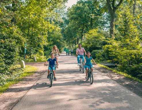 De Utrechtse Heuvelrug Bike Rental