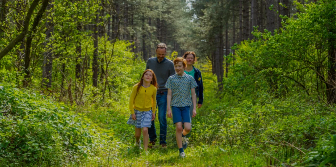 Hoge Kempen Family Walking Forest Woods Dark