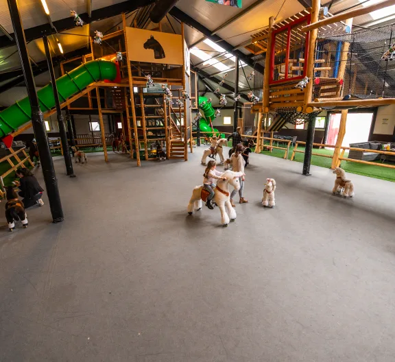 Ruinen De Drentse Koe Playground Indoor Kids Family Slide Climbing